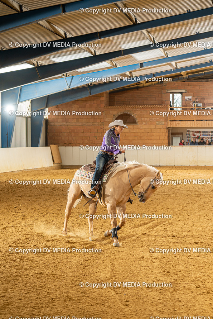 MIT01357 | dv-media-shop - Realisiert mit Pictrs.com