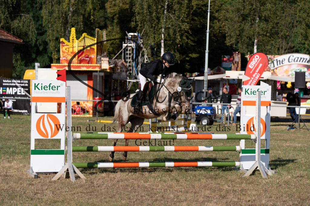 A7V08274 | Pferdefotograf