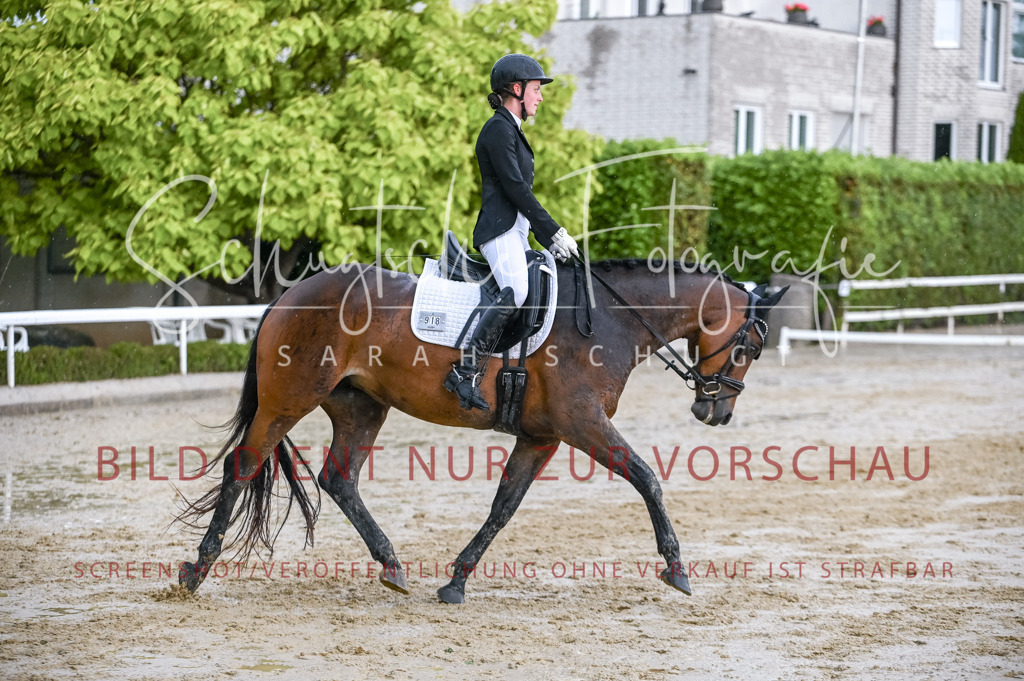 Schugtsche-Aluta25-55.Dressurreiterprf.L1Tr-268 | Schugtsche Fotografie - Realisiert mit Pictrs.com