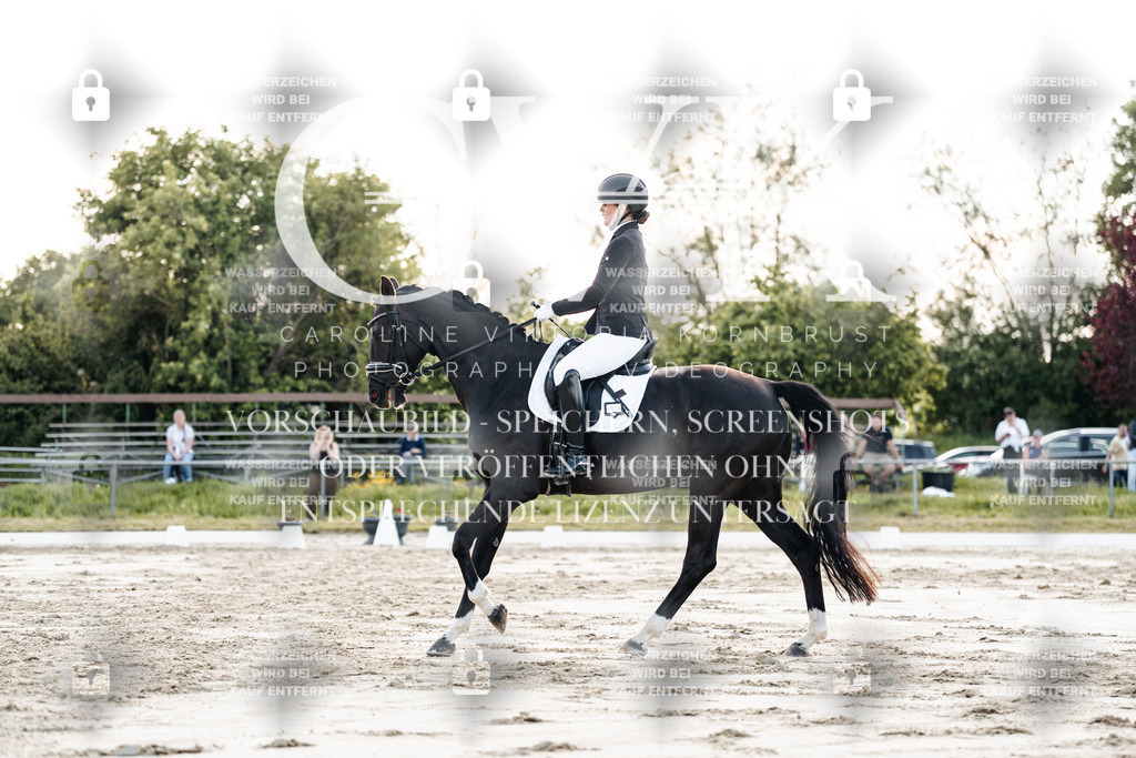CK909442 | Turnierfotografie Pferdefotografie Trier Rheinland-Pfalz Pferdesport Reitsport Tierfotografie Sportfotografie Pferdevideo Pferdevideografie Equestrianvideography equestrianphotography  - Realisiert mit Pictrs.com
