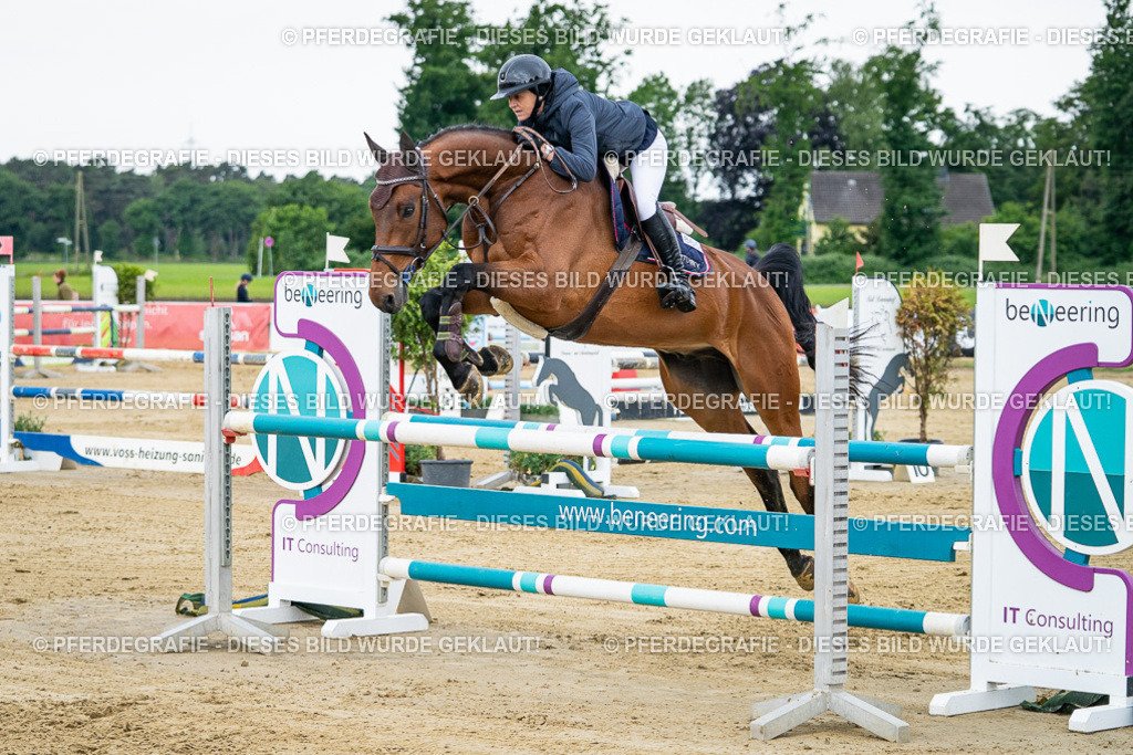 DSC05593 | Pferdegrafie