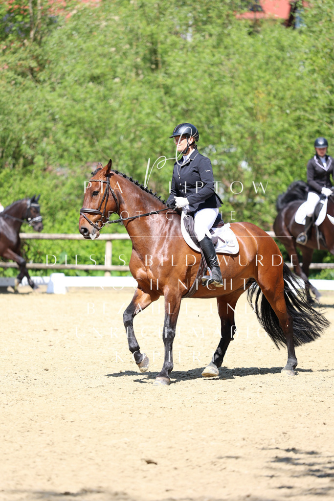 IMGS3591 | pl-fotografie