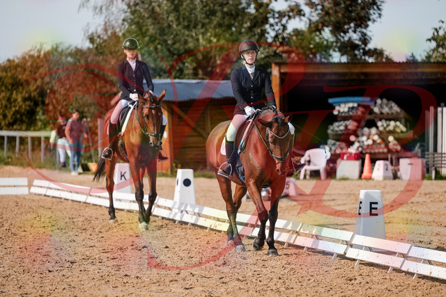 2026_10_03_Siefer-Hof_130909_Z63_71399395 | Professionelle Reitsport-, Turnier- und Eventfotografie von Robert Broda. Galerien mit ausgewählten und bearbeiteten Bildern direkt online ansehen und bestellen.