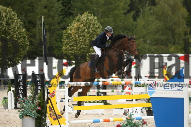 Villingendorf_2022_Prfg.Nr.08_zwei Phasen_Springprfg.Kl.M_Youngster_Adrian Schmid_Pumbaa 7 (5) | Alle Fotos der Reiterjournal Fotografin Doris Matthaes im Reiterjournal Online-Fotoshop. - Realisiert mit Pictrs.com