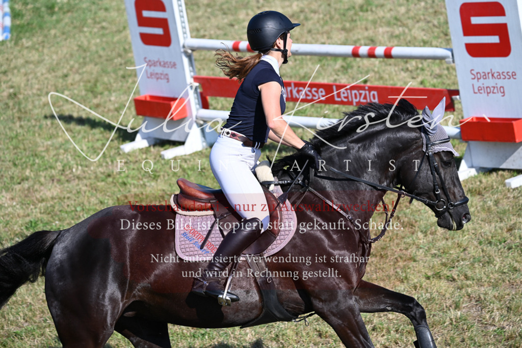 DSC_2473 | Pferde- und Turnierfotografie in Westsachsen. Pferdeportraits, Auftragszeichnungen und intuitive Kunst.