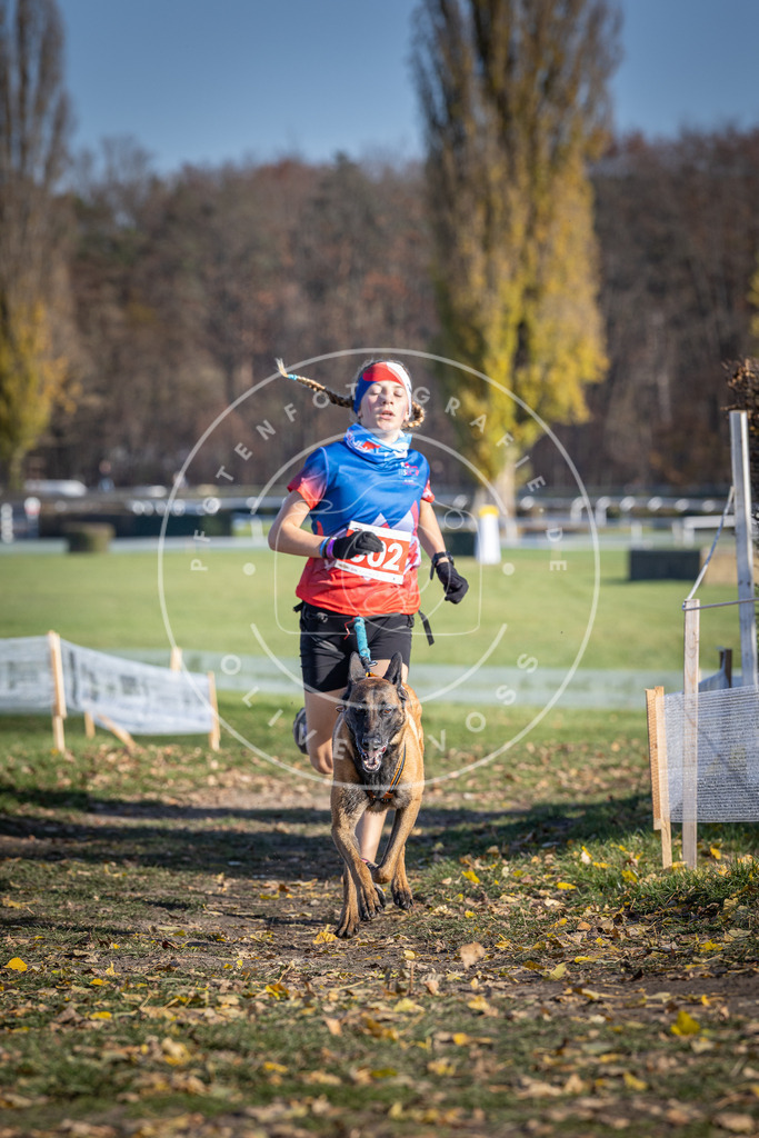 CaniXpix_DV3A9520 | Hundefotografie, Tierfotograf, Pfotenfotografie, Fotoshooting Hund, Hunde Portrait, Hundesport, Hundeportraits, Heideshooting, Hunde, Sportfotograf, Hundefotograf, Turnierhundsport, THS,  - Realisiert mit Pictrs.com