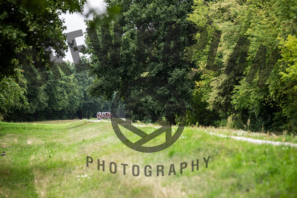 DKP-6542 | Drew Kaplan Photography