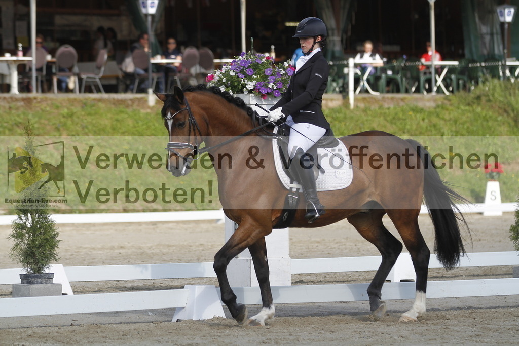 _MG_9236 | equestrian-live-com