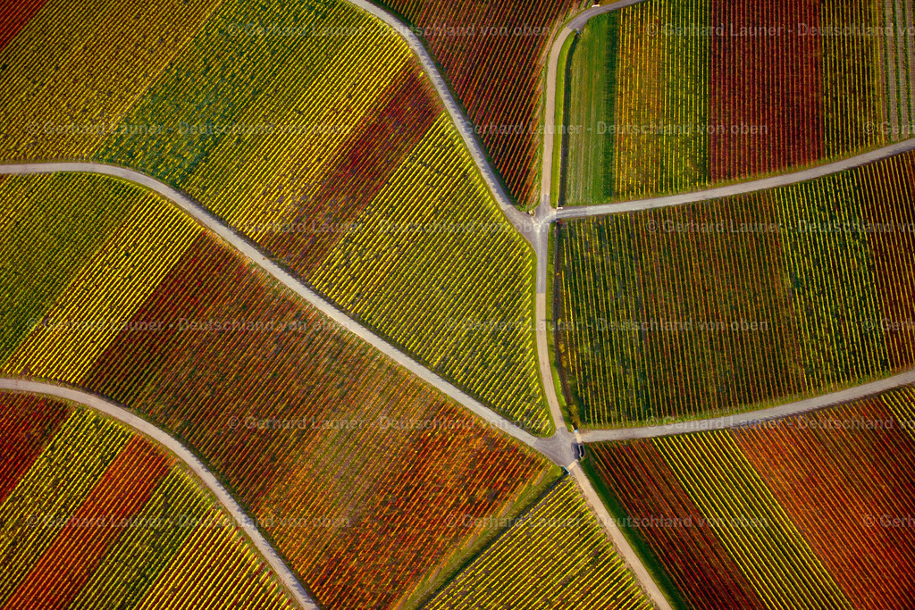 3294565 | Weinbergslandschaft an der Mainschleife bei Escherndorf und Nordheim