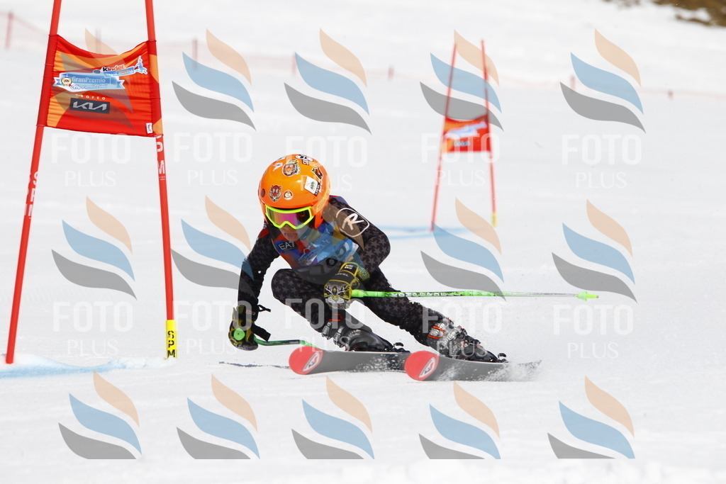 _U3G4441 | holidayphoto