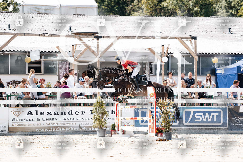 CK909719 | Turnierfotografie Pferdefotografie Trier Rheinland-Pfalz Pferdesport Reitsport Tierfotografie Sportfotografie Pferdevideo Pferdevideografie Equestrianvideography equestrianphotography  - Realisiert mit Pictrs.com