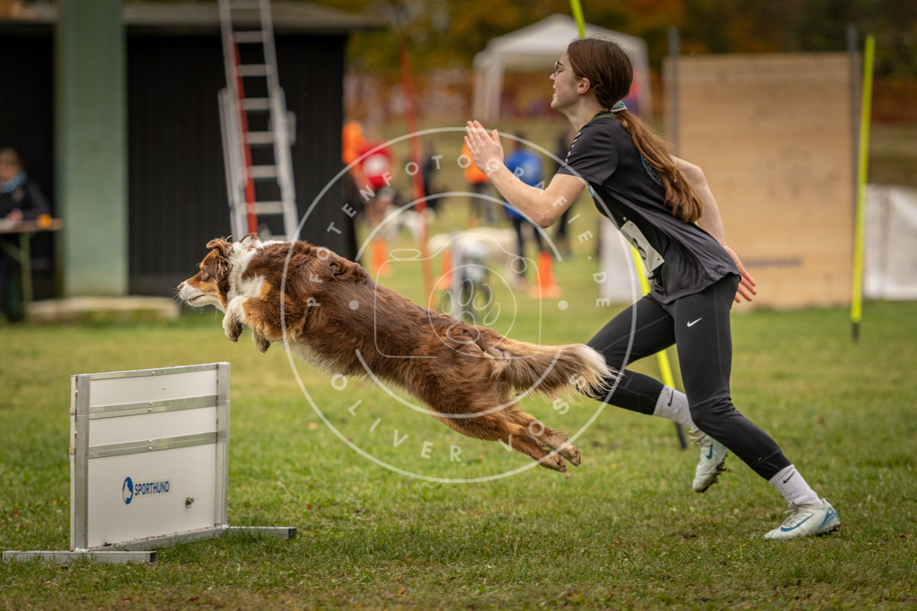 Pfotenfotografie_DV3A6201 | Hundefotografie, Tierfotograf, Pfotenfotografie, Fotoshooting Hund, Hunde Portrait, Hundesport, Hundeportraits, Heideshooting, Hunde, Sportfotograf, Hundefotograf, Turnierhundsport, THS,  - Realisiert mit Pictrs.com