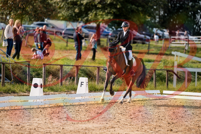 2026_10_03_Siefer-Hof_131711_Z63_78760132 | Professionelle Reitsport-, Turnier- und Eventfotografie von Robert Broda. Galerien mit ausgewählten und bearbeiteten Bildern direkt online ansehen und bestellen.