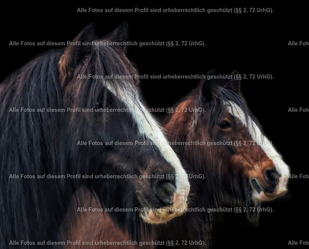 1710268256394_3 | krollfotografie - Realisiert mit Pictrs.com