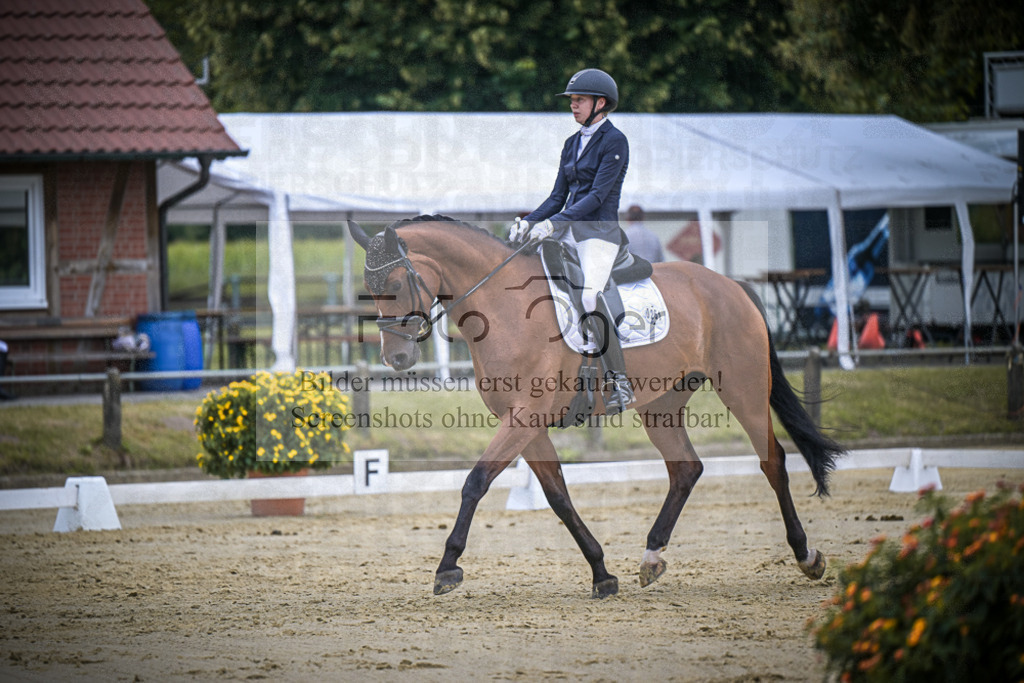 DOS_3854 | Entdecke hochwertige Reitturnierfotos von Foto Oger. Professionell, emotional und authentisch – jetzt Lieblingsmomente im Shop bestellen.Deutschlandweite Turnierfotografie. - Realisiert mit Pictrs.com