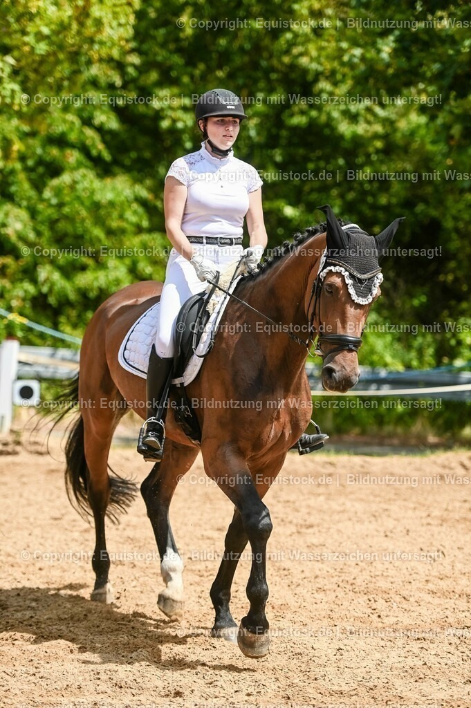 20230715_05_Dressurprüfung Kl.A++_0414 | equistock