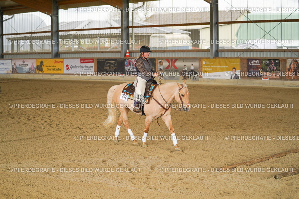 DSC04950 | Pferdegrafie