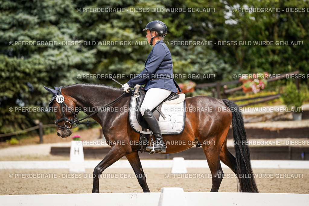 DSC04190 | Pferdegrafie