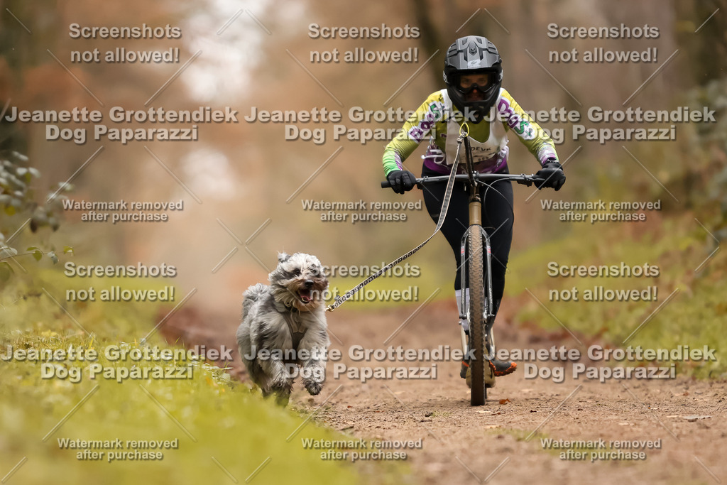 Dog Paparazzi - Speedhunter Mannheim  2025-442 | Dog Paparazzi Jeanette Grottendiek Fotografie & Videografie