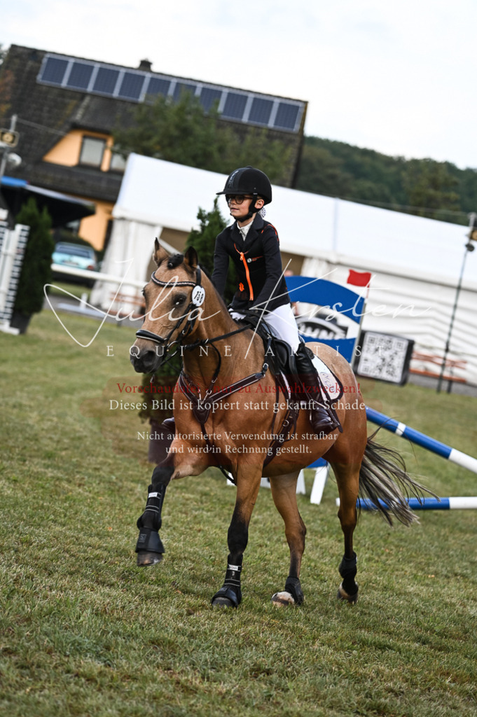 DSC_5619 | Pferde- und Turnierfotografie in Westsachsen. Pferdeportraits, Auftragszeichnungen und intuitive Kunst.