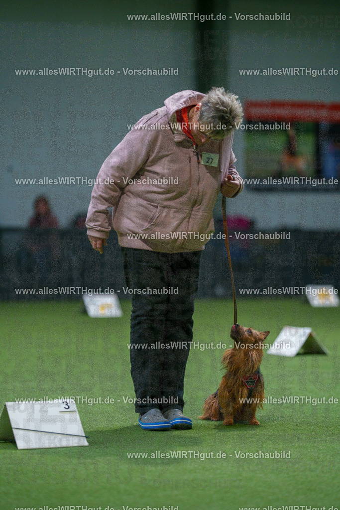 7R500411 | Professionelle Tierfotografie in Mönchengladbach von Daniel Wirth (allesWIRTHgut). Liebevolle & natürliche Bilder von Hunden & Katzen für unvergessliche Erinnerungen.
