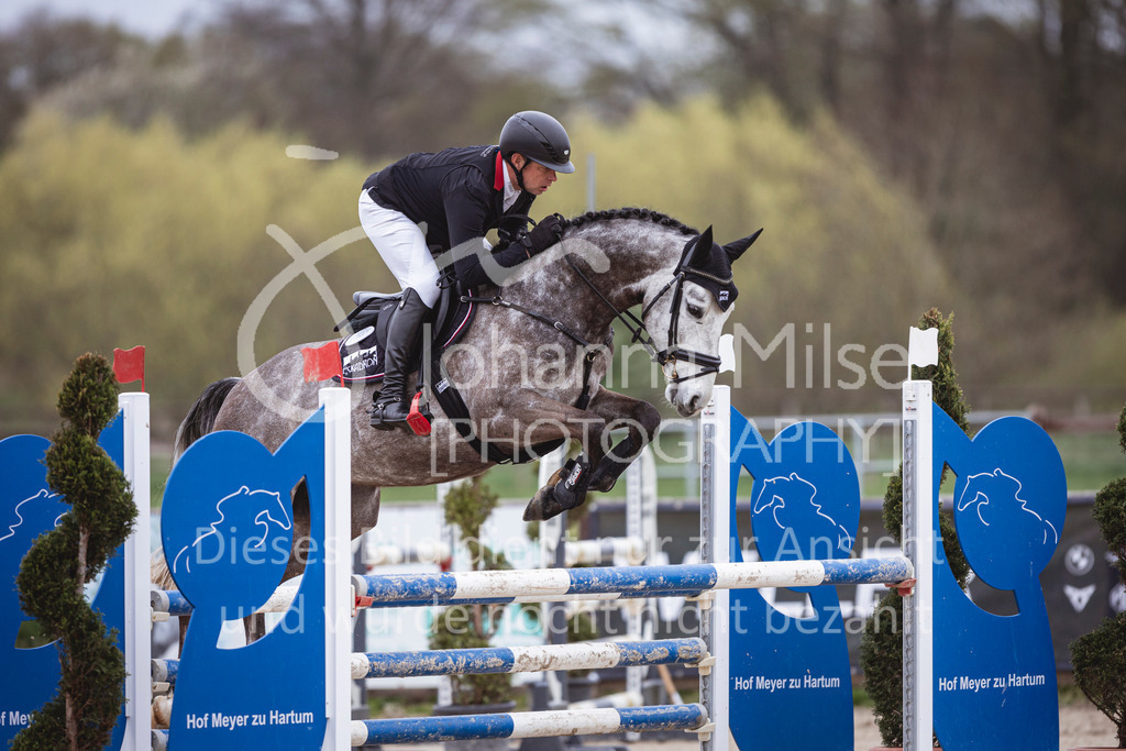 250417_Springpferde-L1-248 | Deine schönsten Turniermomente als professionelle Fotos! Entdecke hochwertige Pferdesport-Fotografie im Online-Shop. Jetzt Fotos finden & bestellen!