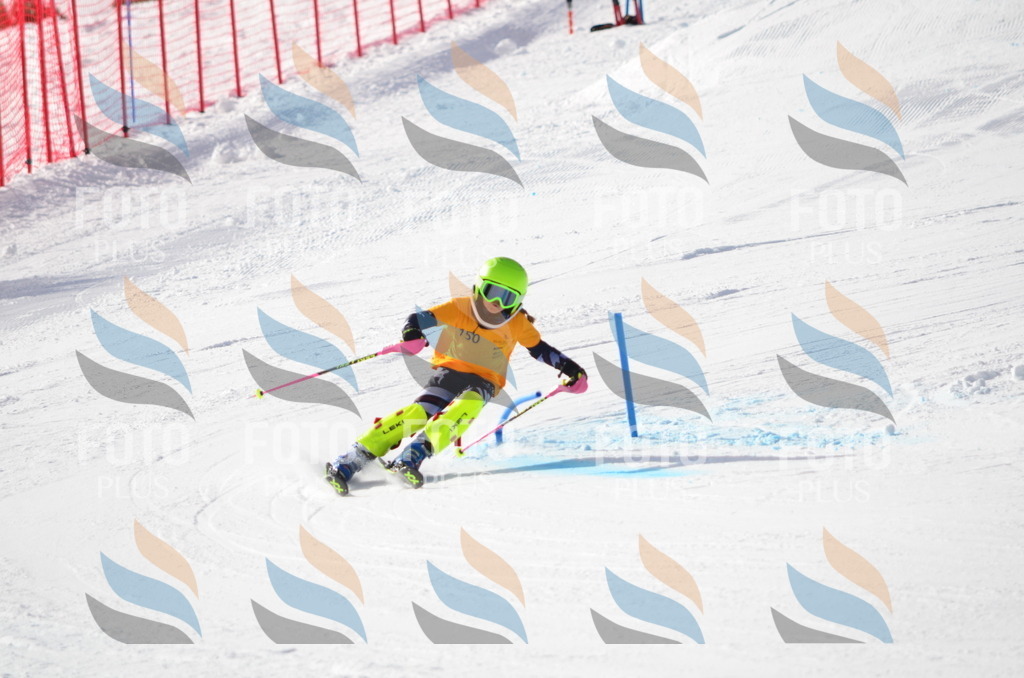 C7751 | holidayphoto