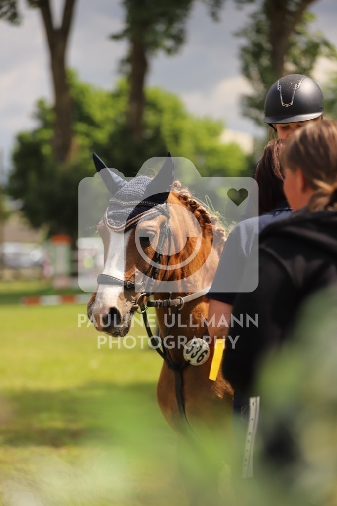 IMG_7516 | Pauline Ullmann Photography - Realisiert mit Pictrs.com