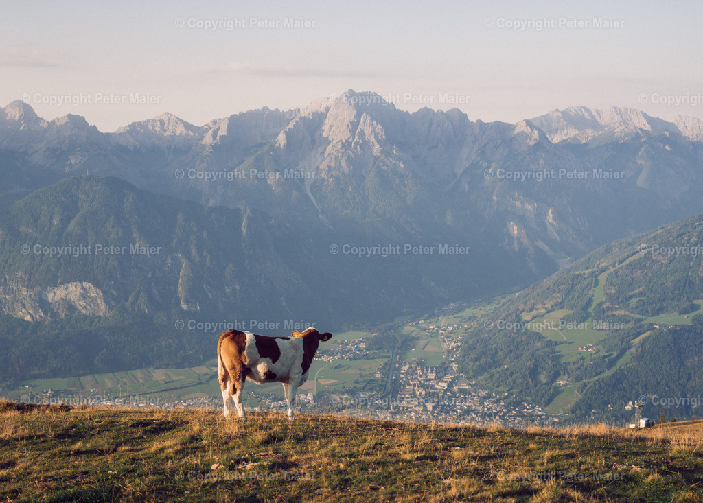 Zettersfeld_23-156 | piet_flosse