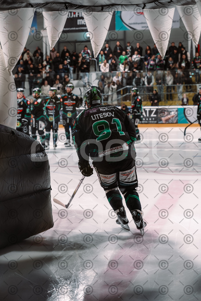 Alligators_vs_Stuttgart_16_11_2025-42 | Höchstadt Alligators Fotogalerie: Eishockey-Action aus Franken. Professionelle Spielfotos, Portraits & Stadionbilder zum Download. Jetzt entdecken! - Realisiert mit Pictrs.com