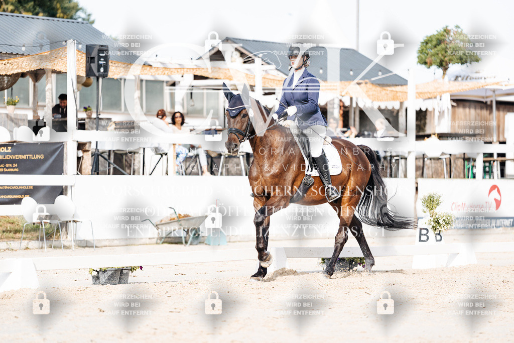 CK905075 | Turnierfotografie Pferdefotografie Trier Rheinland-Pfalz Pferdesport Reitsport Tierfotografie Sportfotografie Pferdevideo Pferdevideografie Equestrianvideography equestrianphotography  - Realisiert mit Pictrs.com