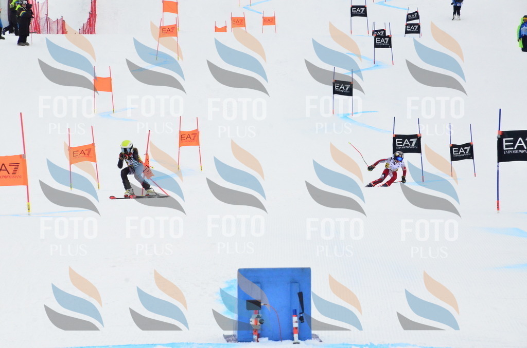 _ELE3916 | holidayphoto