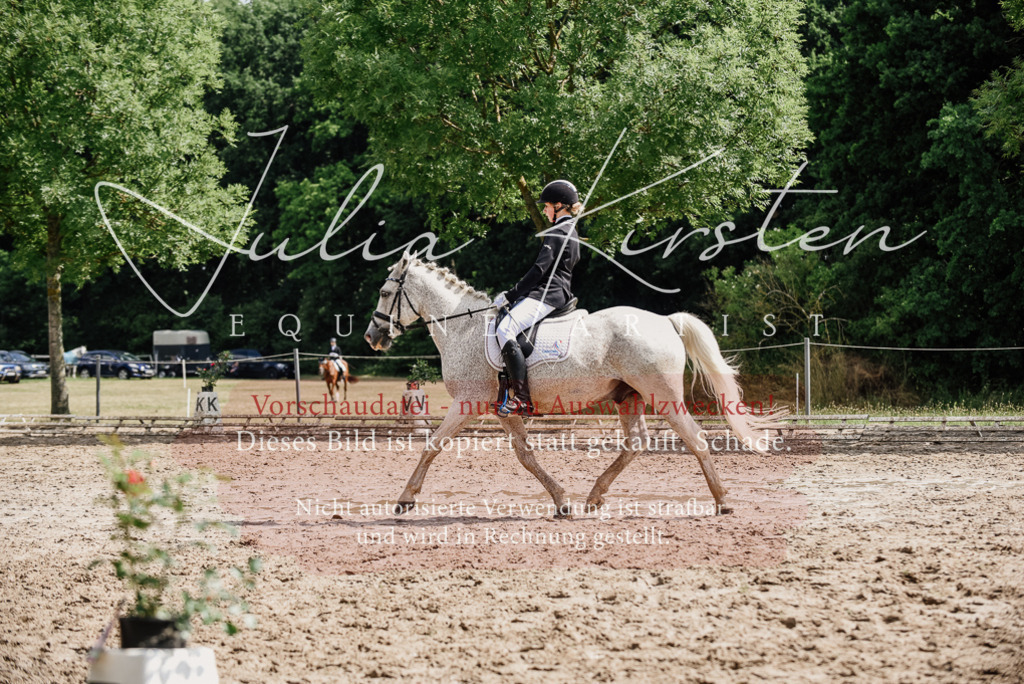 DSC_0526 | Pferde- und Turnierfotografie in Westsachsen. Pferdeportraits, Auftragszeichnungen und intuitive Kunst.