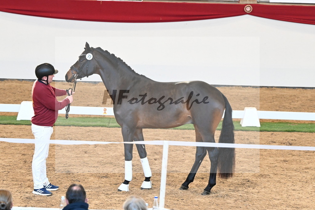 Kat.-Nr. 73 v. McLaren_Schulze Averdiek_2250637 | hf-fotografie - Realisiert mit Pictrs.com
