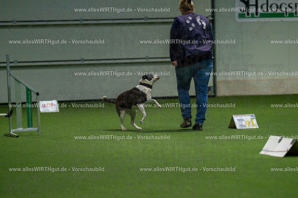 7R504748 | Professionelle Tierfotografie in Mönchengladbach von Daniel Wirth (allesWIRTHgut). Liebevolle & natürliche Bilder von Hunden & Katzen für unvergessliche Erinnerungen.