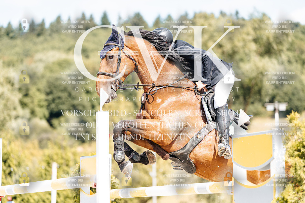 CK908829 | Turnierfotografie Pferdefotografie Trier Rheinland-Pfalz Pferdesport Reitsport Tierfotografie Sportfotografie Pferdevideo Pferdevideografie Equestrianvideography equestrianphotography  - Realisiert mit Pictrs.com