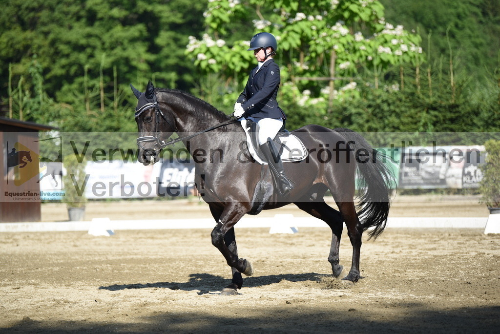DSC_7256 | equestrian-live-com