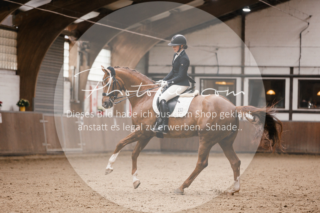 3I6A9082 | Stimmungsvolle Portraits und Reitsportfotografie im Ruhrgebiet und im Münsterland.

Pferdefotografie, Hundefotografie, Tierfotografie, Reportagen, Portraits von Tier und Mensch, Turnierfotografie in Bochum, Recklinghausen, Marl, Haltern am See, Dülmen.. - Realisiert mit Pictrs.com