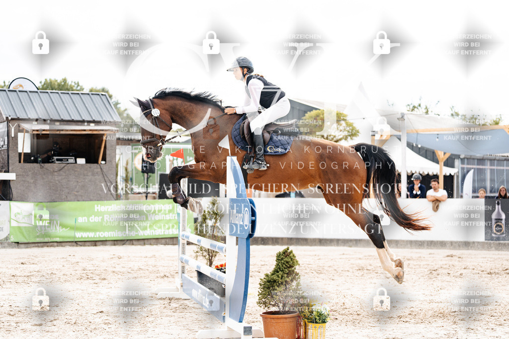 CK902966 | Turnierfotografie Pferdefotografie Trier Rheinland-Pfalz Pferdesport Reitsport Tierfotografie Sportfotografie Pferdevideo Pferdevideografie Equestrianvideography equestrianphotography  - Realisiert mit Pictrs.com
