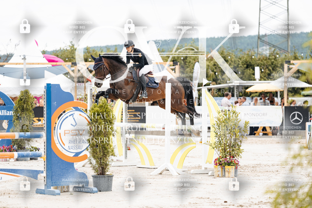 CK906382 | Turnierfotografie Pferdefotografie Trier Rheinland-Pfalz Pferdesport Reitsport Tierfotografie Sportfotografie Pferdevideo Pferdevideografie Equestrianvideography equestrianphotography  - Realisiert mit Pictrs.com