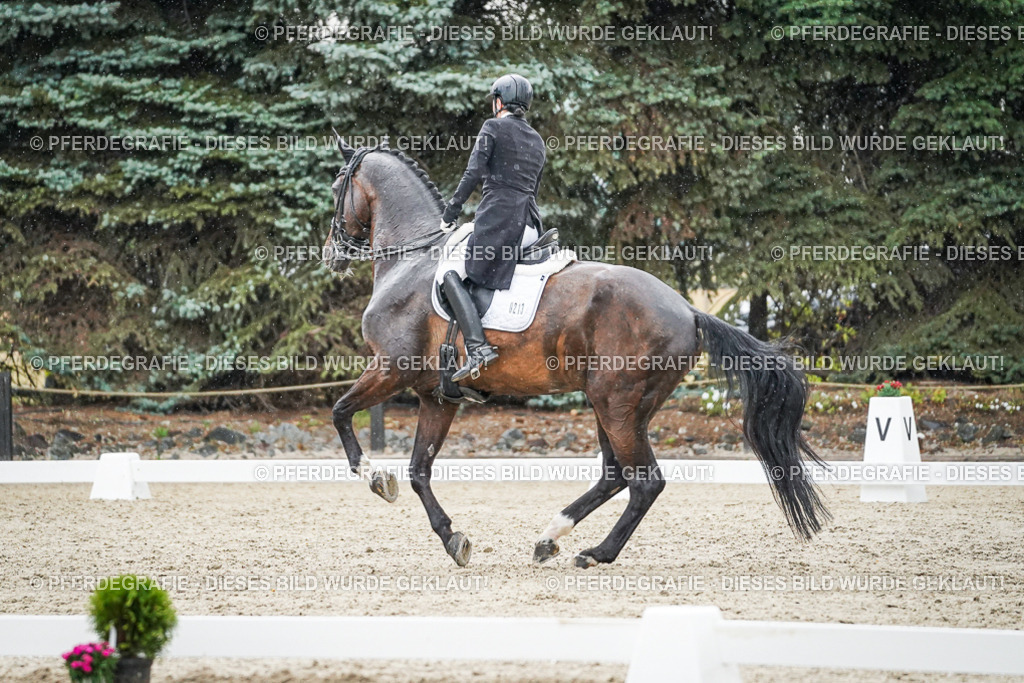 DSC08204 | Pferdegrafie