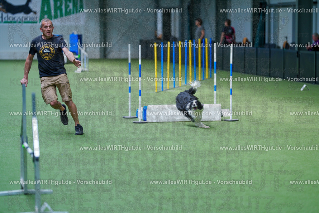 @allesWIRTHgut_Tierfotografie - www.allesWIRTHgut.de - 2604261347-7R502656 | Professionelle Tierfotografie in Mönchengladbach von Daniel Wirth (allesWIRTHgut). Liebevolle & natürliche Bilder von Hunden & Katzen für unvergessliche Erinnerungen.