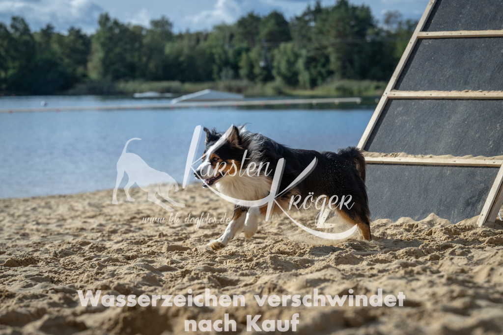 1431_ZZ91475 | kk-dogfotos