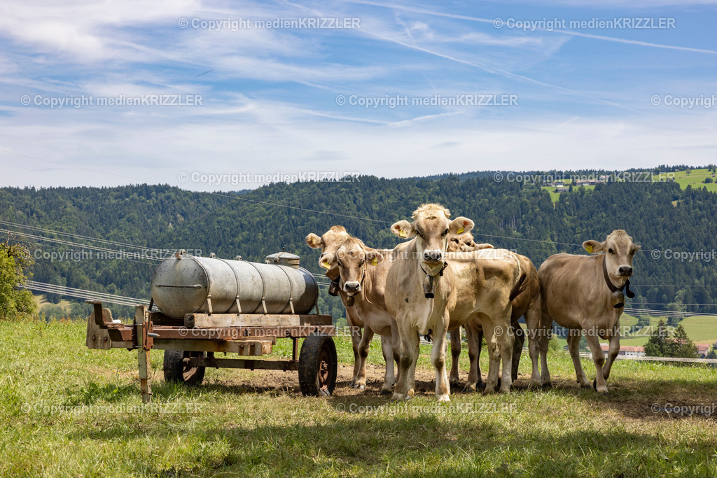 _J3A1670 | medienkrizzler - Realisiert mit Pictrs.com