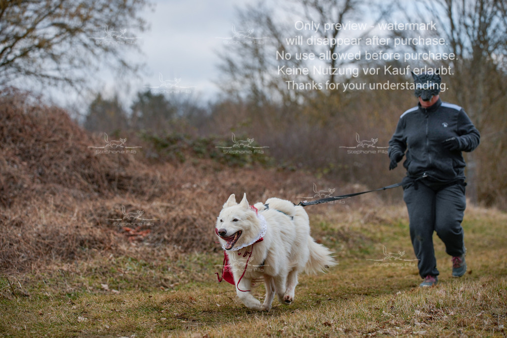 Fasching-35 | stephaniefillaphotographie - Realisiert mit Pictrs.com