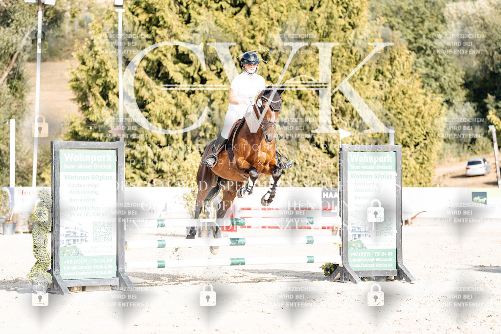 CK909444 | Turnierfotografie Pferdefotografie Trier Rheinland-Pfalz Pferdesport Reitsport Tierfotografie Sportfotografie Pferdevideo Pferdevideografie Equestrianvideography equestrianphotography  - Realisiert mit Pictrs.com