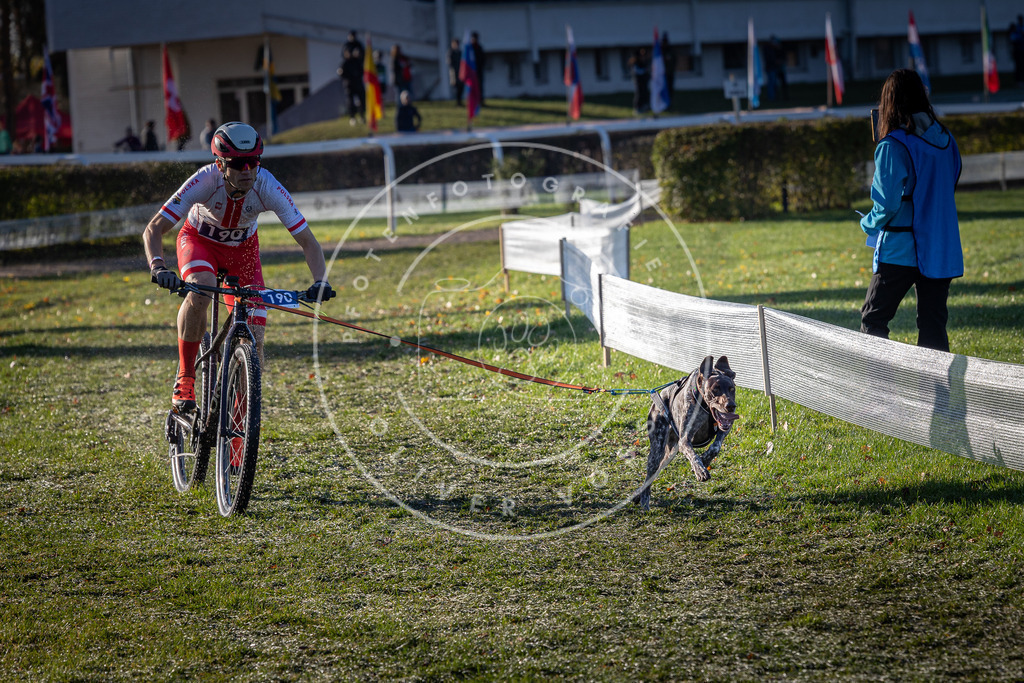 CaniXpix_0L8A4181 | Hundefotografie, Tierfotograf, Pfotenfotografie, Fotoshooting Hund, Hunde Portrait, Hundesport, Hundeportraits, Heideshooting, Hunde, Sportfotograf, Hundefotograf, Turnierhundsport, THS,  - Realisiert mit Pictrs.com