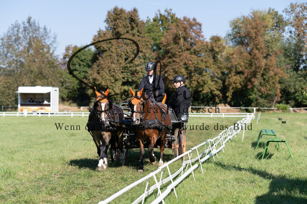 A7V04274 | Pferdefotograf