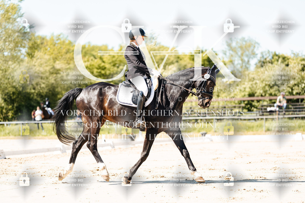 CK905057 | Turnierfotografie Pferdefotografie Trier Rheinland-Pfalz Pferdesport Reitsport Tierfotografie Sportfotografie Pferdevideo Pferdevideografie Equestrianvideography equestrianphotography  - Realisiert mit Pictrs.com