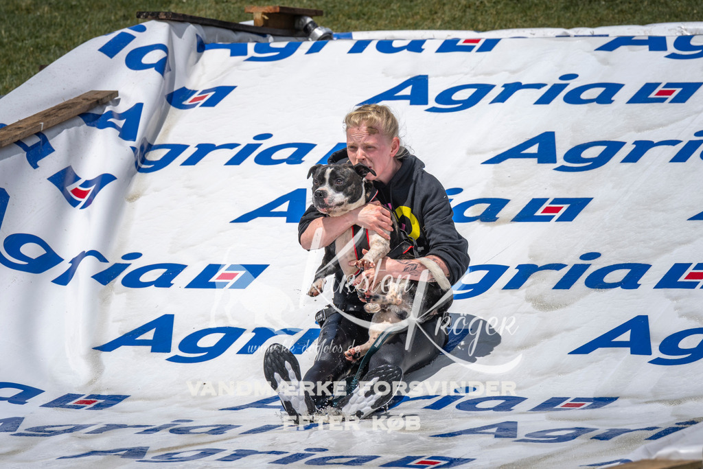 1159_ZZ94496 | kk-dogfotos